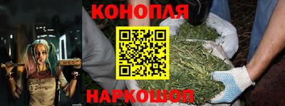 прущие крисы Апшеронск