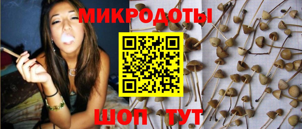 Белая Калитва  Псилоцибиновые грибы Psilocybine cubensis  Вход с VPN 